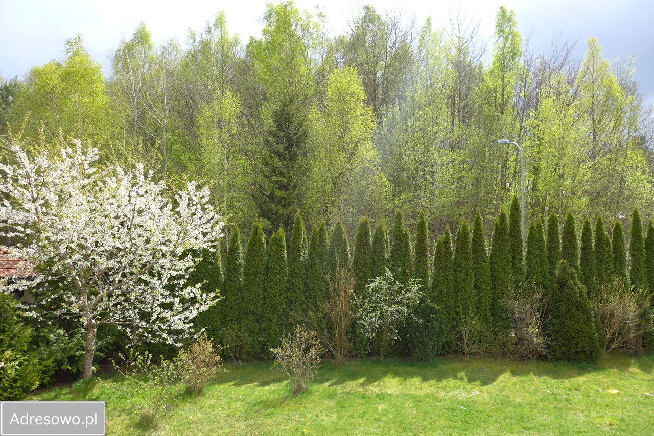 dom wolnostojący, 6 pokoi Gdynia Dąbrowa. Zdjęcie 11