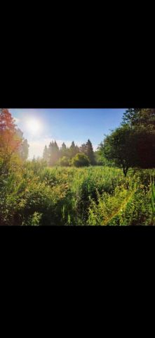 Działka rolna Strękowizna. Zdjęcie 1