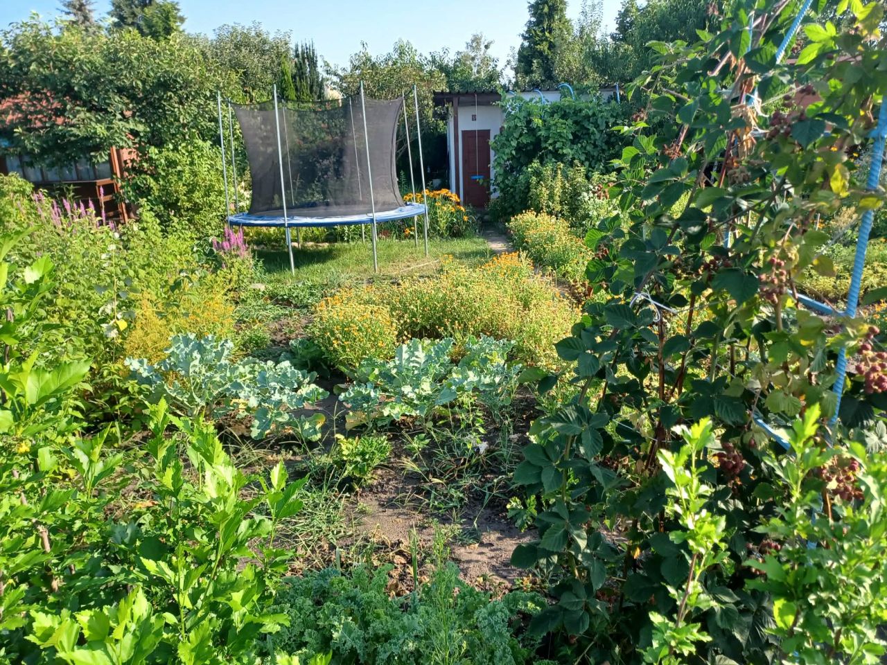 Działka rod Tarnobrzeg Bugaj, ul. św. Barbary. Zdjęcie 6