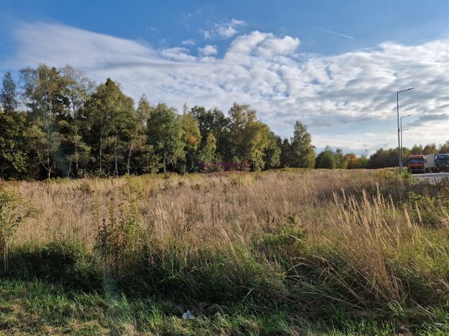 Działka inwestycyjna Gorzyczki. Zdjęcie 2