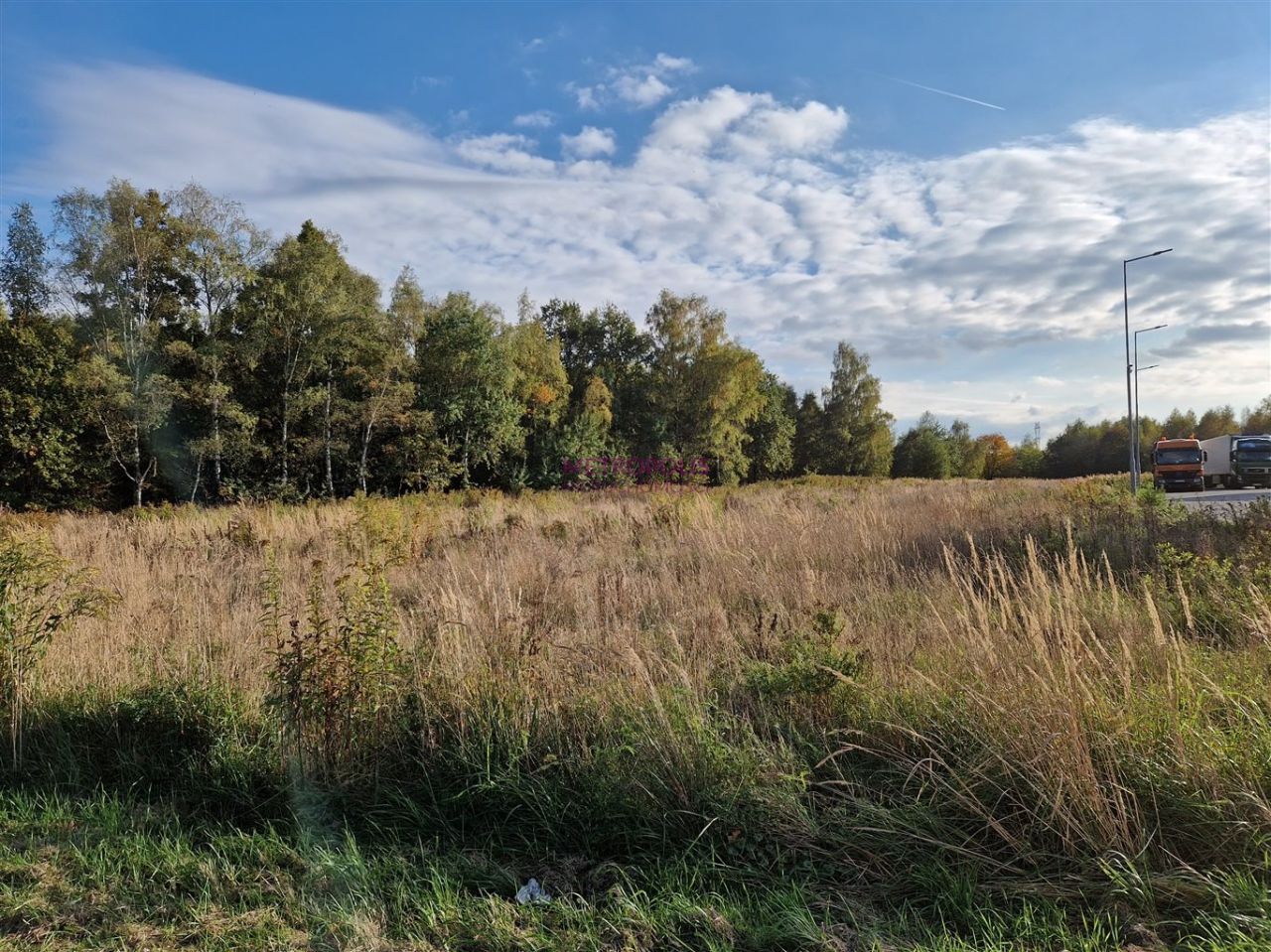 Działka inwestycyjna Gorzyczki. Zdjęcie 2
