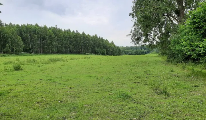 Działka rolna Krekole