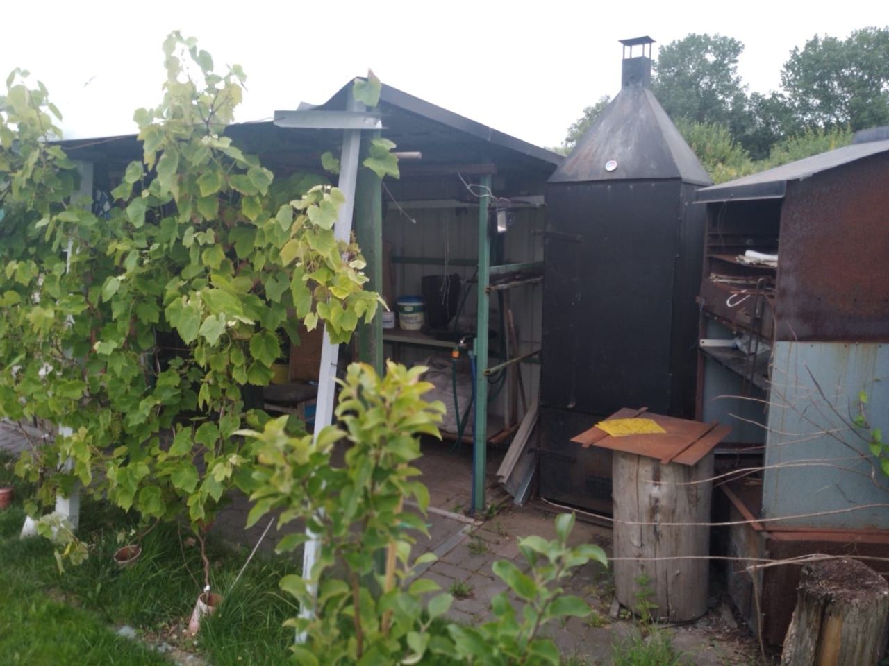 Działka rod Kołobrzeg, ul. Bolesława Krzywoustego. Zdjęcie 6