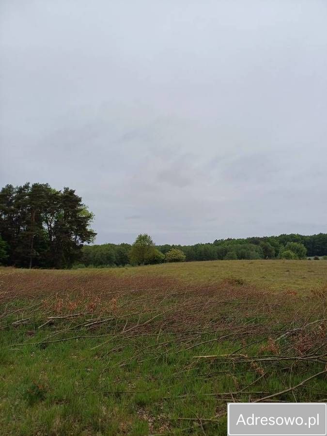 Działka inwestycyjna Kikorze. Zdjęcie 7