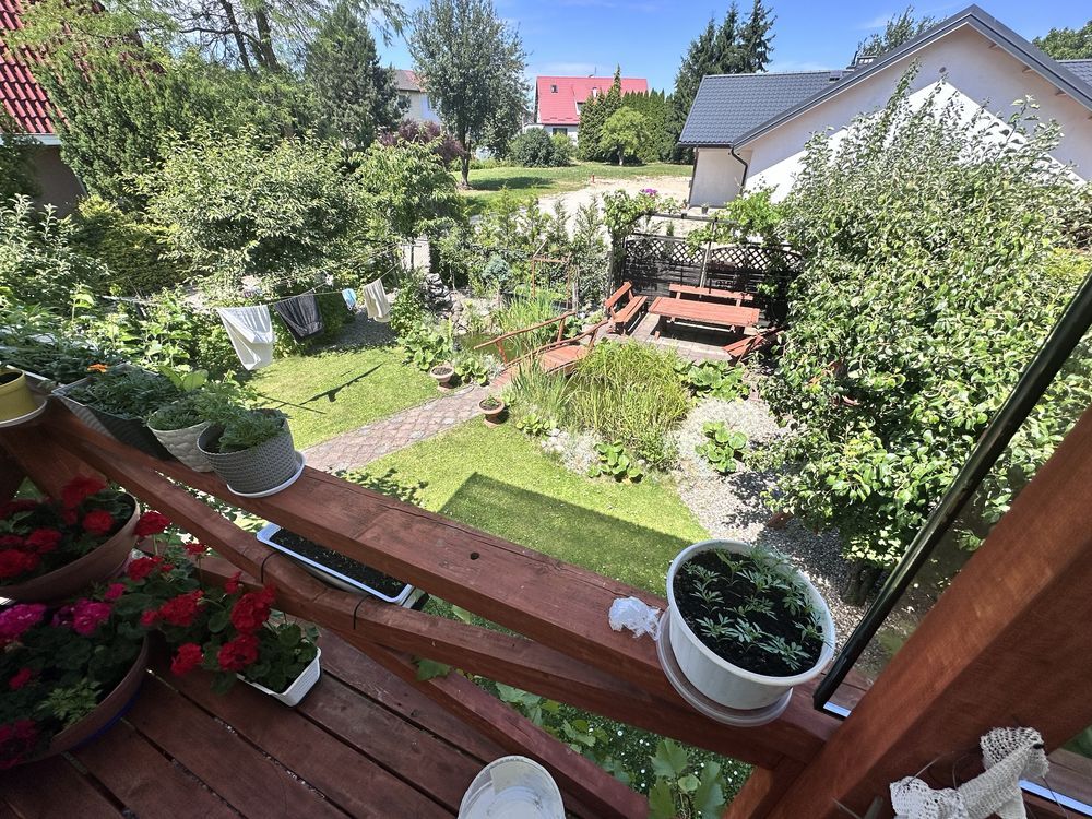 bliźniak Iława. Zdjęcie 4