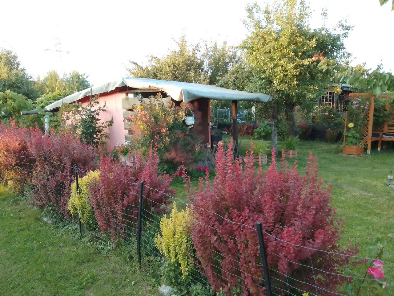 Działka rod Świdnik, ul. Działkowca. Zdjęcie 8