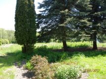 Działka budowlana Strzyżewice. Zdjęcie 4