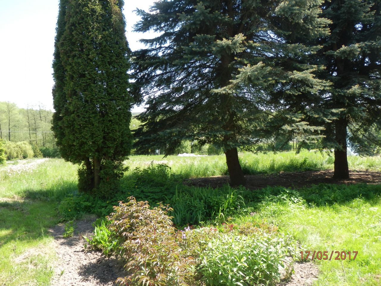 Działka budowlana Strzyżewice. Zdjęcie 5