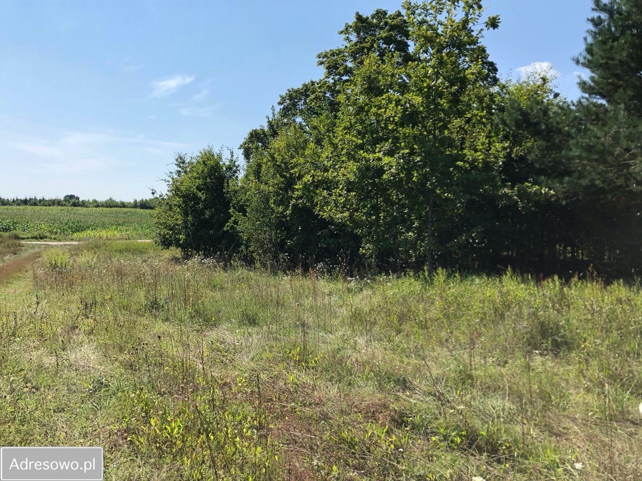 Działka rolna Lekity. Zdjęcie 18