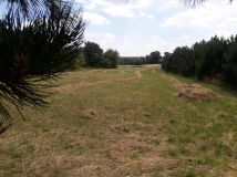 Działka rolno-budowlana Sobianowice. Zdjęcie 4