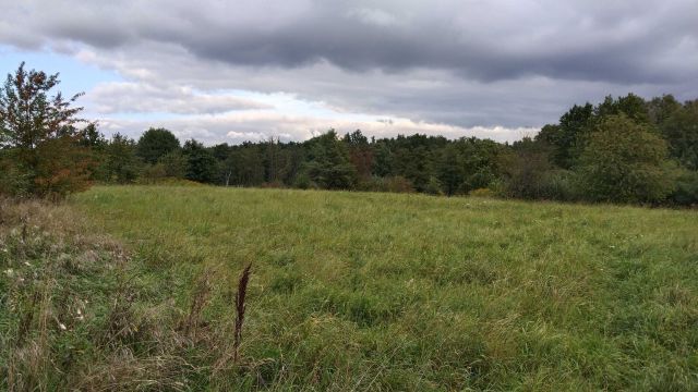 Działka rolno-budowlana Dąbrowa Górnicza Błędów, ul. Turystyczna. Zdjęcie 1