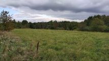 Działka rekreacyjna Dąbrowa Górnicza Błędów, ul. Turystyczna. Zdjęcie 1