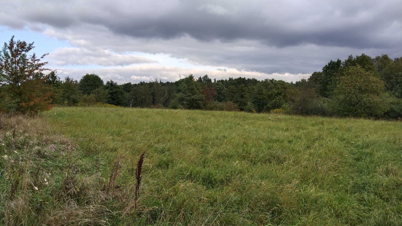 Działka rolno-budowlana Dąbrowa Górnicza Błędów, ul. Turystyczna