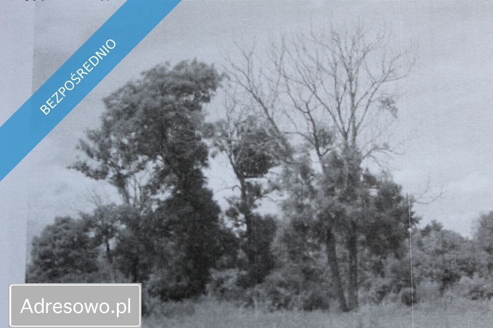 dworek, 5 pokoi Wewierz. Zdjęcie 12