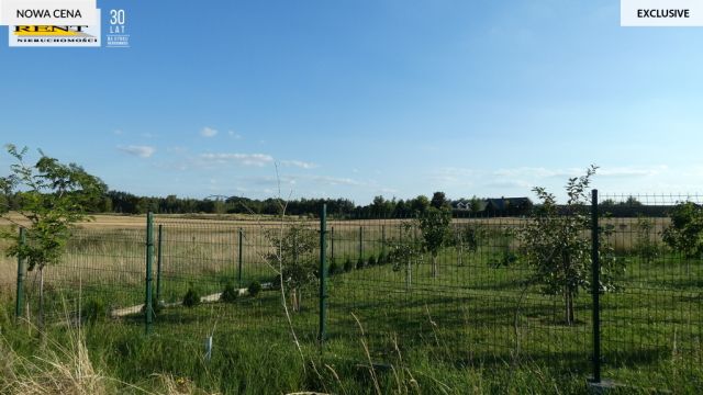 Działka rolna Kamieniec. Zdjęcie 9