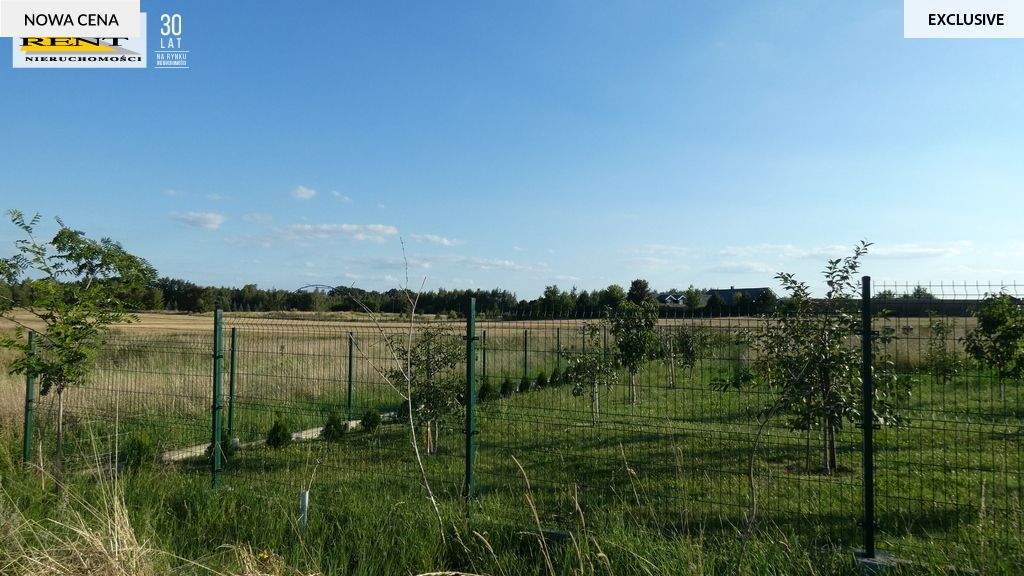 Działka rolna Kamieniec. Zdjęcie 9