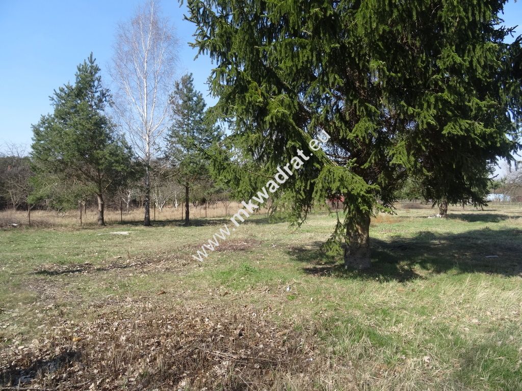 Działka budowlana Komorów. Zdjęcie 11