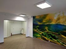 Lokal Kościan, ul. Młyńska. Zdjęcie 3