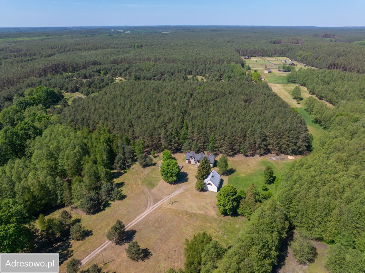 Działka budowlana Pąchy. Zdjęcie 3