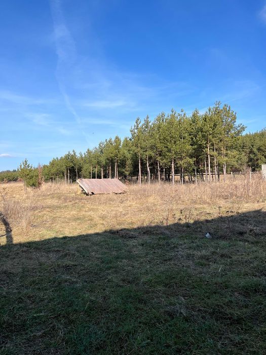 Działka rekreacyjna Mirocice. Zdjęcie 4