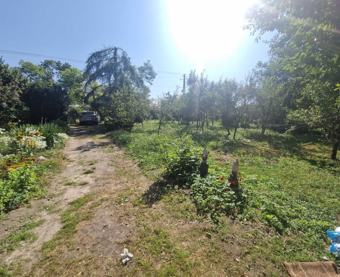 Działka siedliskowa Kaliszany-Kolonia. Zdjęcie 3