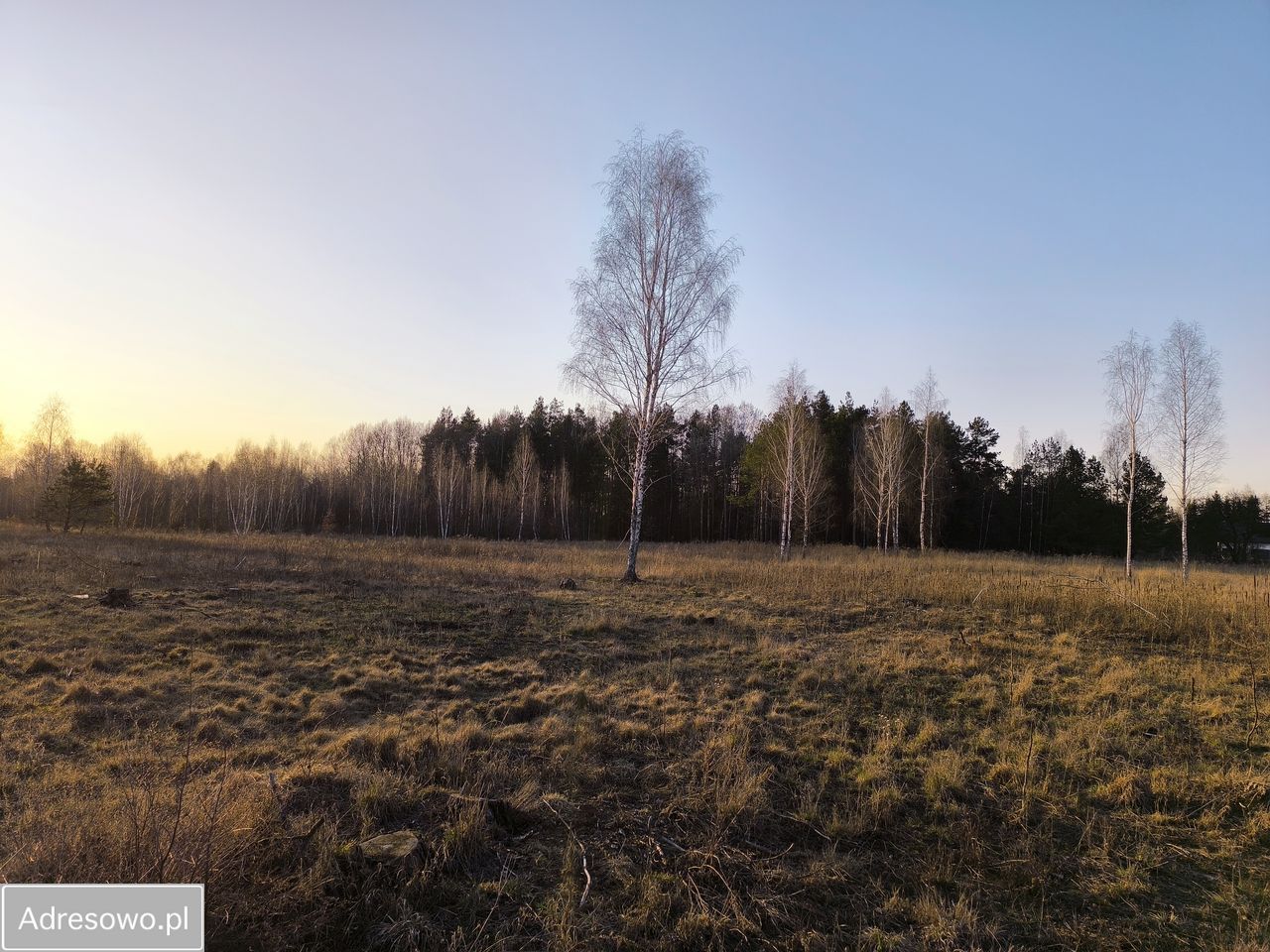 Działka rolno-budowlana Olmonty, ul. Chabrowa. Zdjęcie 5