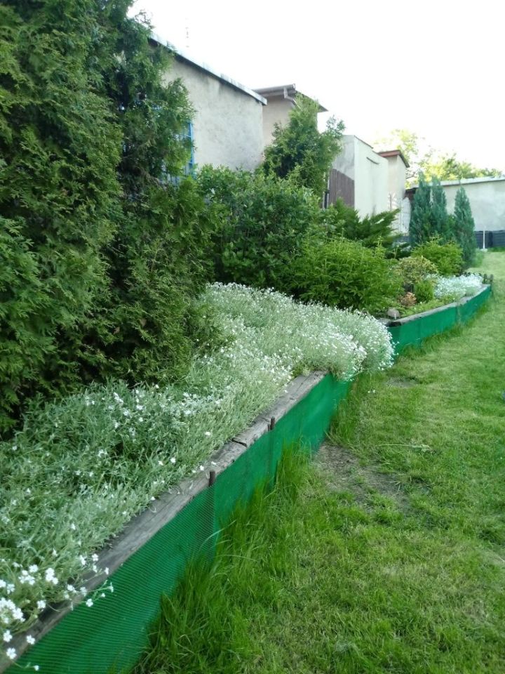 Działka rod Piekary Śląskie Brzeziny Śląskie. Zdjęcie 5