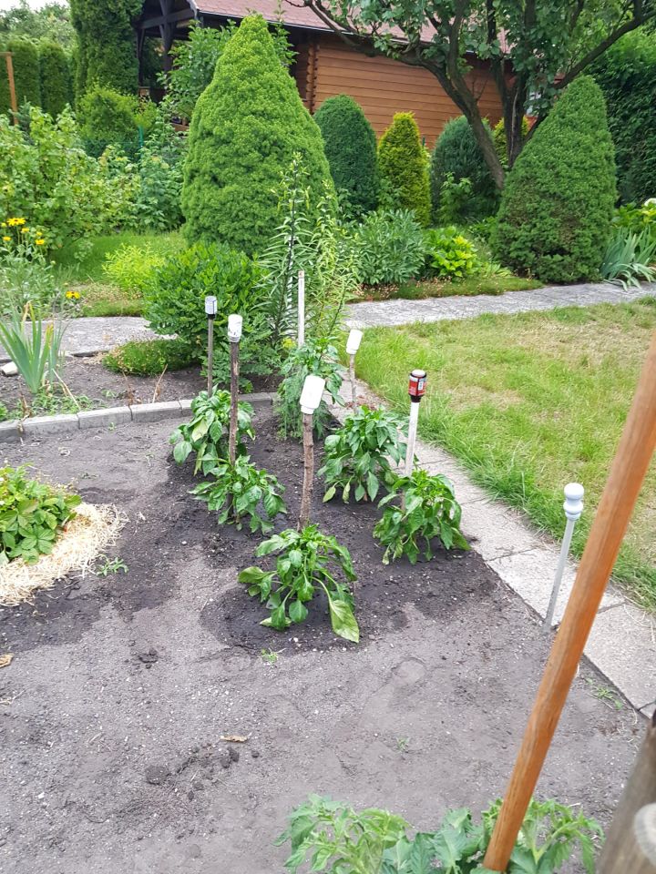 Działka rod Łódź Górna, ul. Nowe Sady. Zdjęcie 22