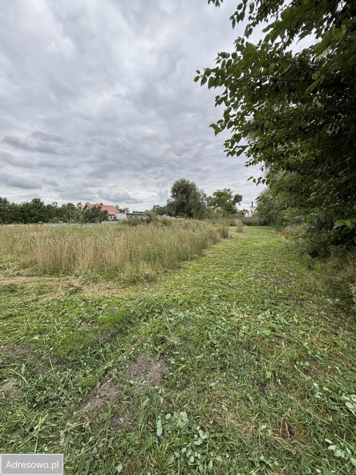 Działka rolno-budowlana Cienin Kościelny. Zdjęcie 9