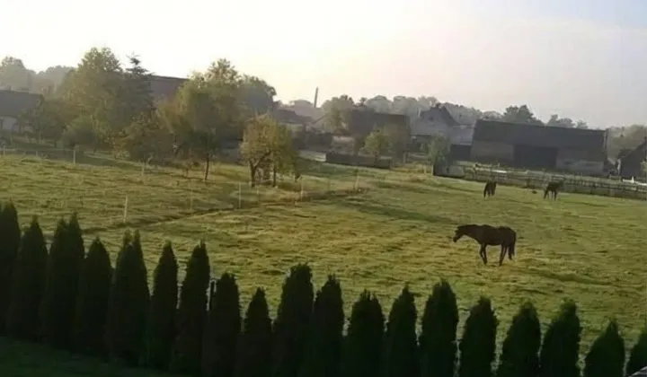 Działka budowlana Wołów