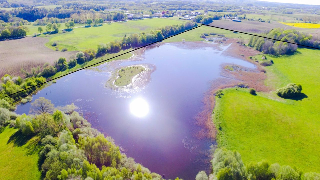 Działka rolna Gorawino. Zdjęcie 4