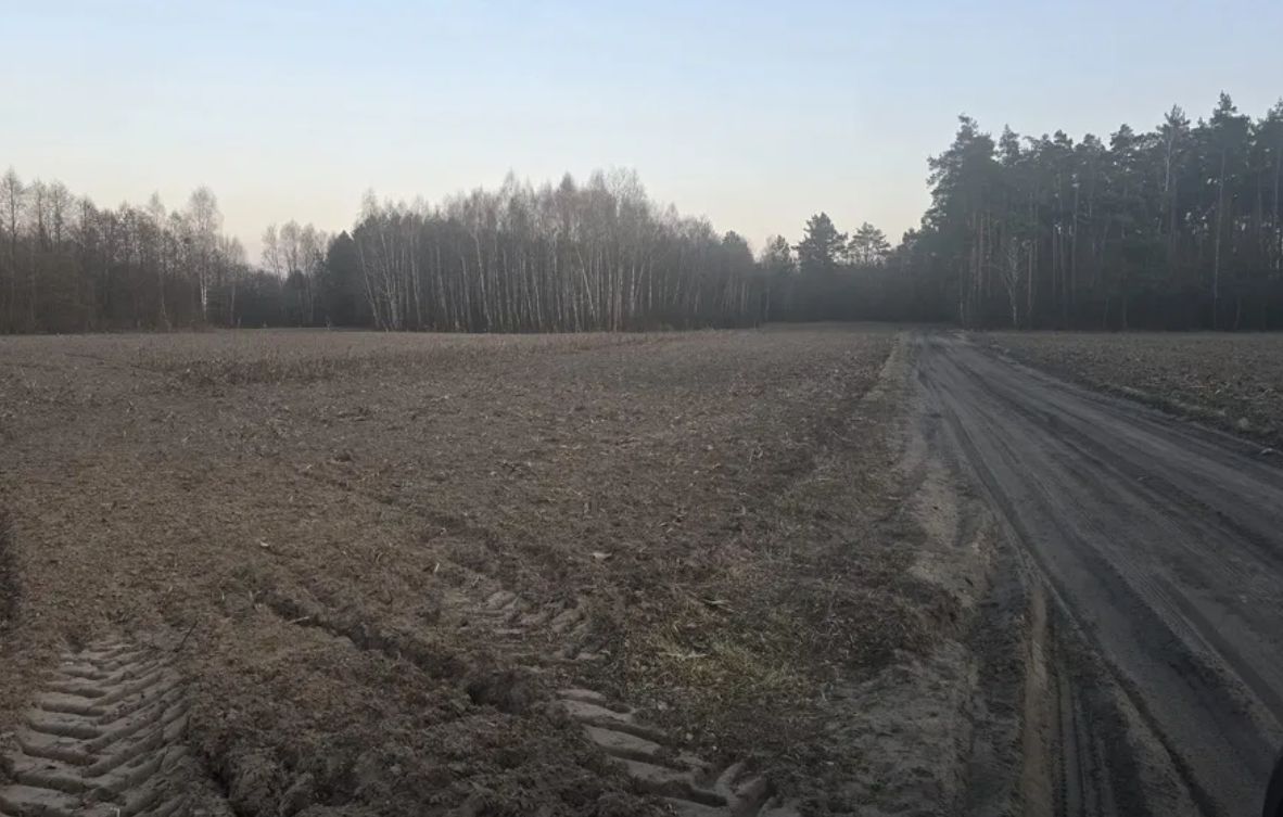 Działka rolna Czermno. Zdjęcie 8