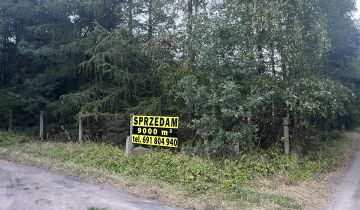 Działka rolna Wola Załężna Pod Zameczkiem, Wola Załężna