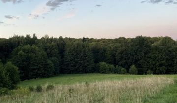 Działka budowlana Głobikowa