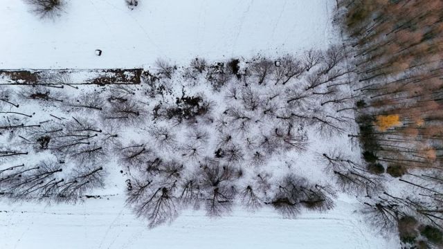 Działka budowlana Besko. Zdjęcie 7