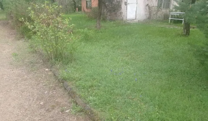 Działka rod Łódź, ul. Żeńców