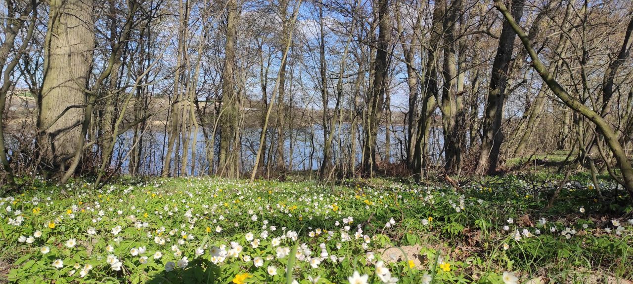 Działka rekreacyjna Radzynek. Zdjęcie 1