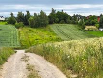 Działka budowlana Jakubowice Konińskie-Kolonia, ul. Kalinowa. Zdjęcie 1