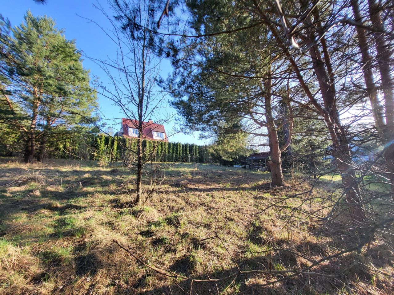 Działka budowlana Rostki Skomackie. Zdjęcie 5