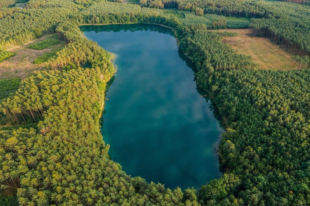 Działka rekreacyjna Borowy Młyn. Zdjęcie 6