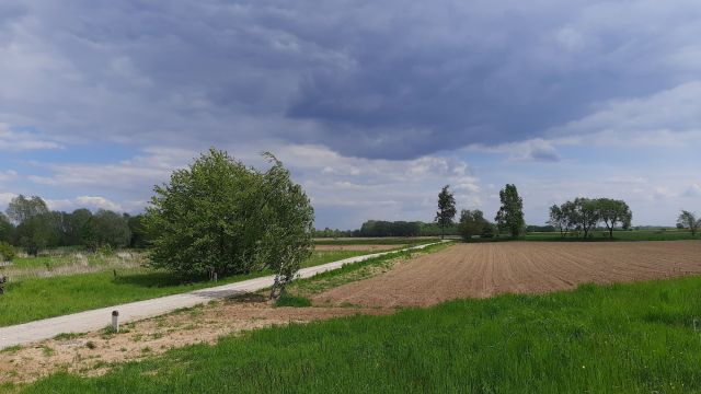 Działka rolna Stare Miasto. Zdjęcie 1