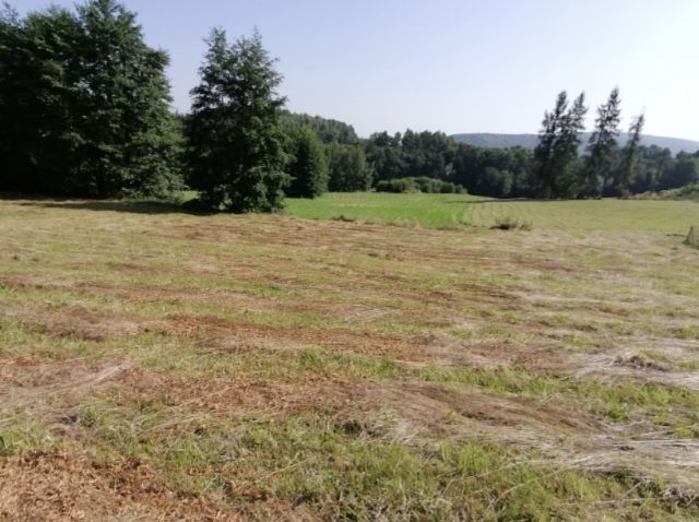 Działka inna Kamyk Wierzchowina. Zdjęcie 1