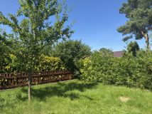 Działka rod Racibórz. Zdjęcie 4