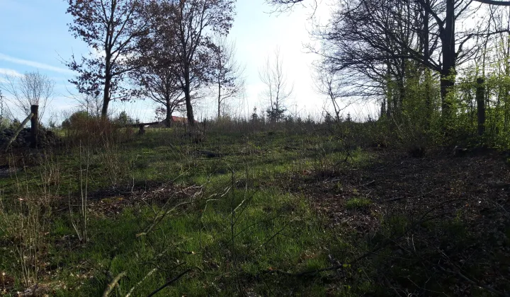 dom wolnostojący, 2 pokoje Łętowo