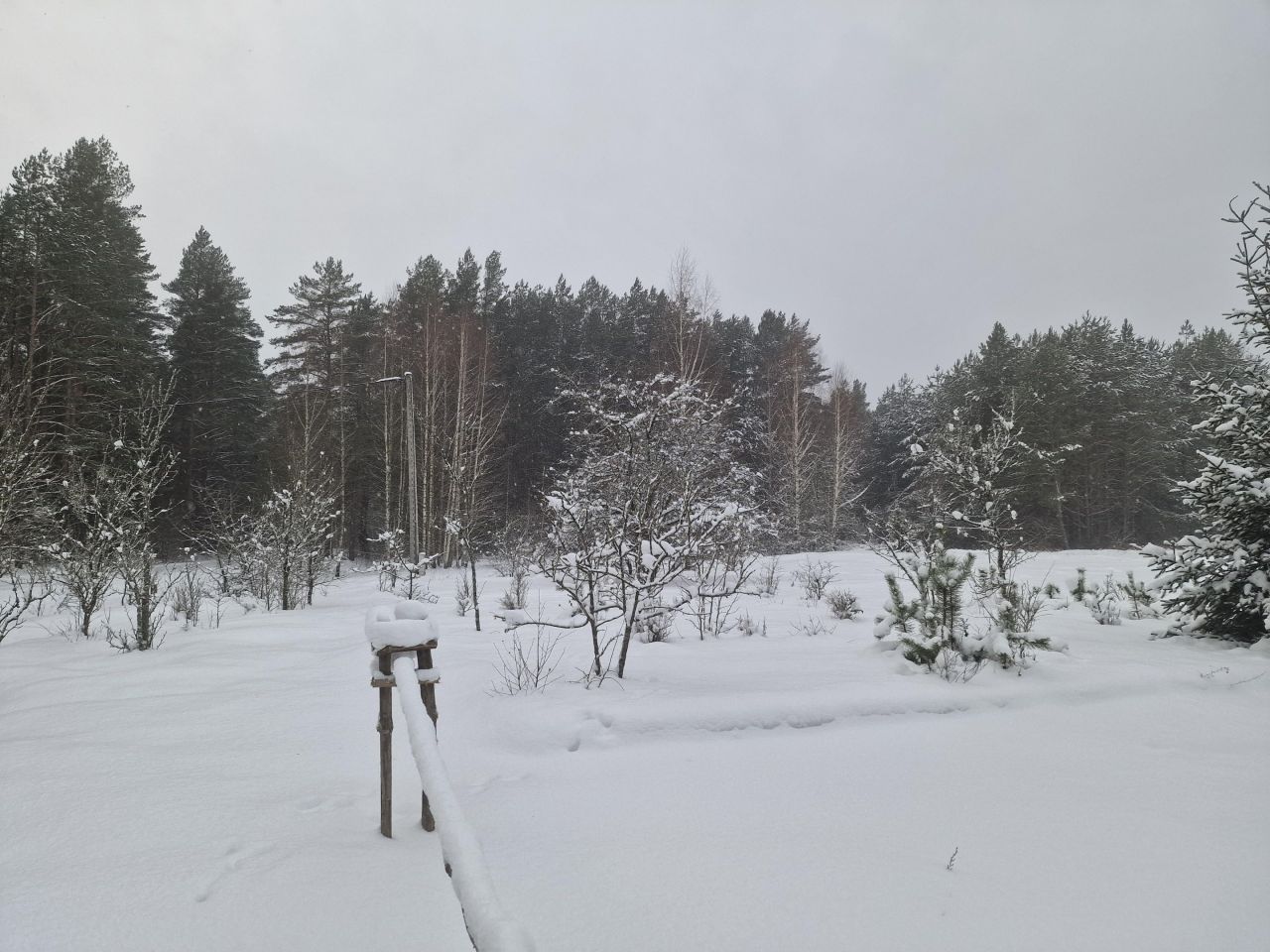 Działka siedliskowa Nowy Lipsk. Zdjęcie 28