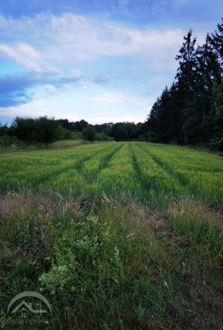 Działka inwestycyjna Piotrowice, ul. Główna. Zdjęcie 4