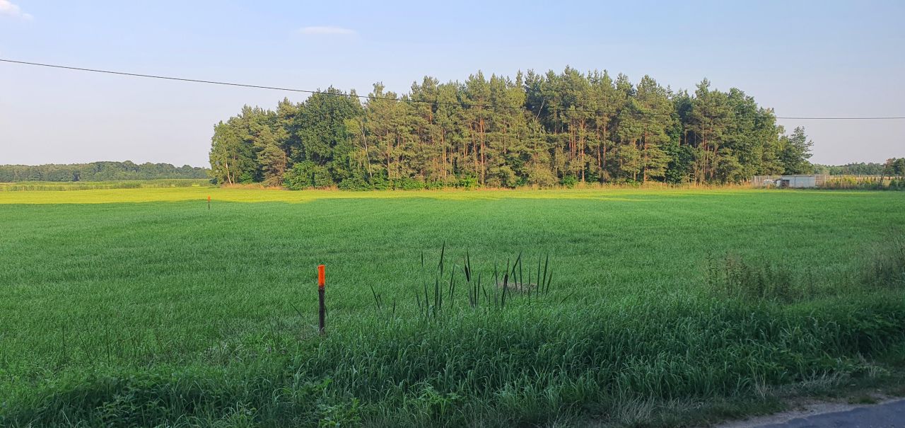 Działka budowlana Jarantów. Zdjęcie 2