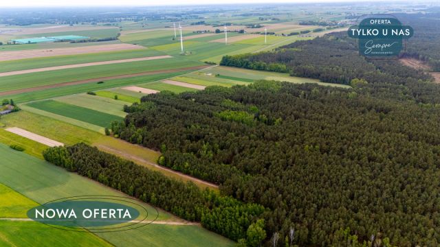 Działka rolna Górki Grabińskie. Zdjęcie 6