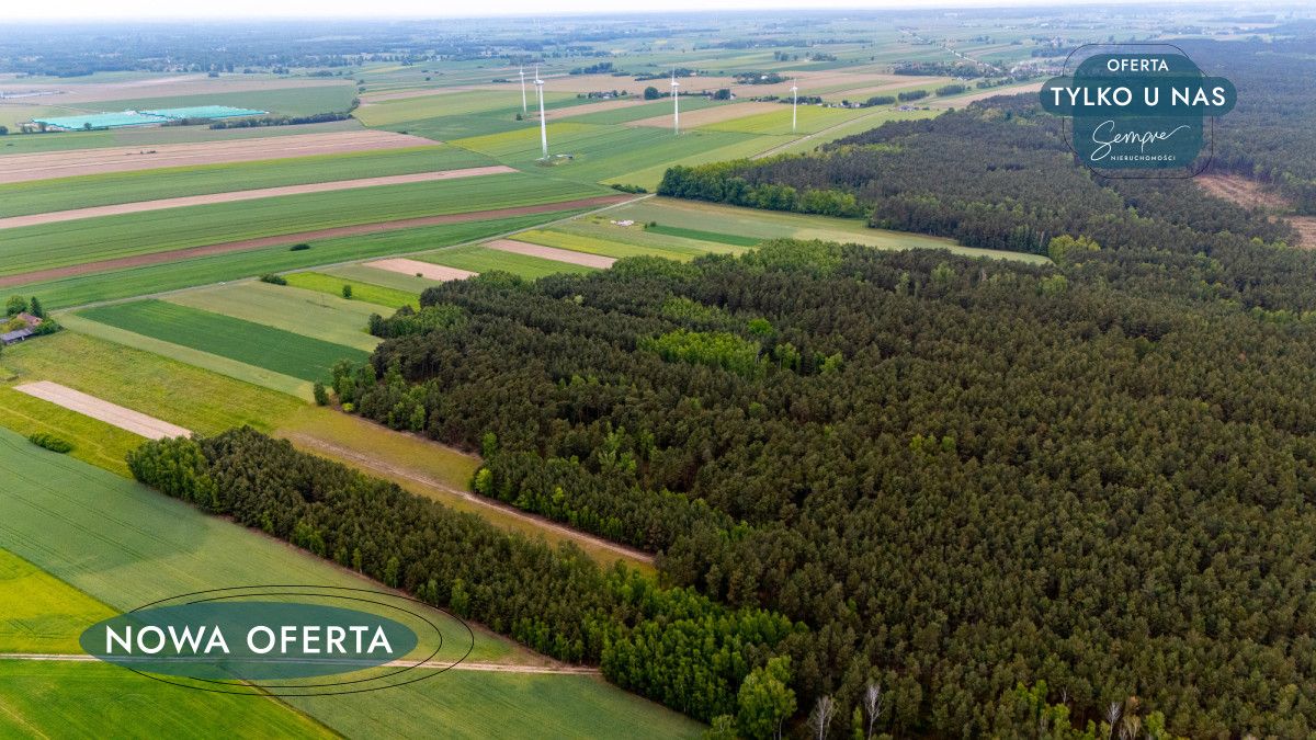 Działka rolna Górki Grabińskie. Zdjęcie 6