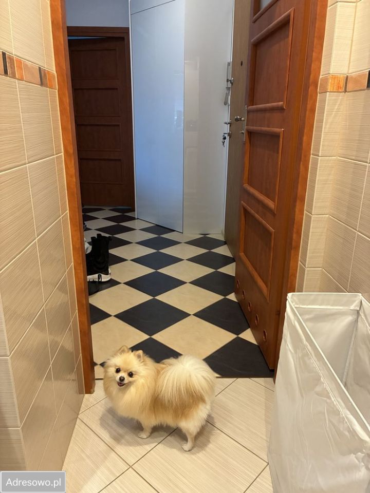 Mieszkanie 2-pokojowe Warszawa Wilanów, ul. Sarmacka. Zdjęcie 3